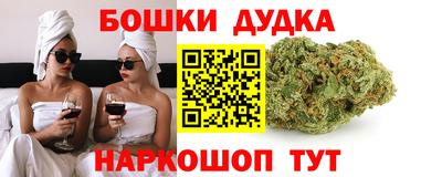 индика Заволжье