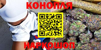 индика Заволжье