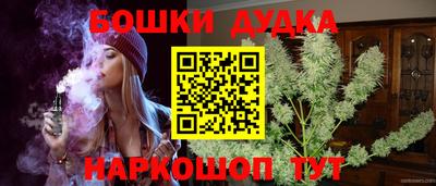 индика Заволжье
