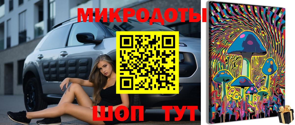 Майский  Галлюциногенные грибы Psilocybine cubensis  Вход с VPN 